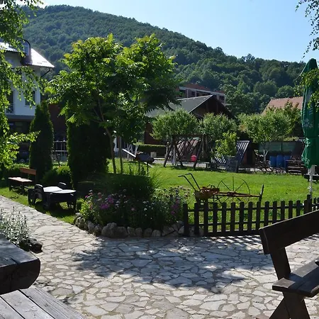 And Neron Bihac